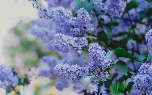 1472612 (a): :2880x1800